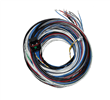 CABLEADO FT450-FT550 A